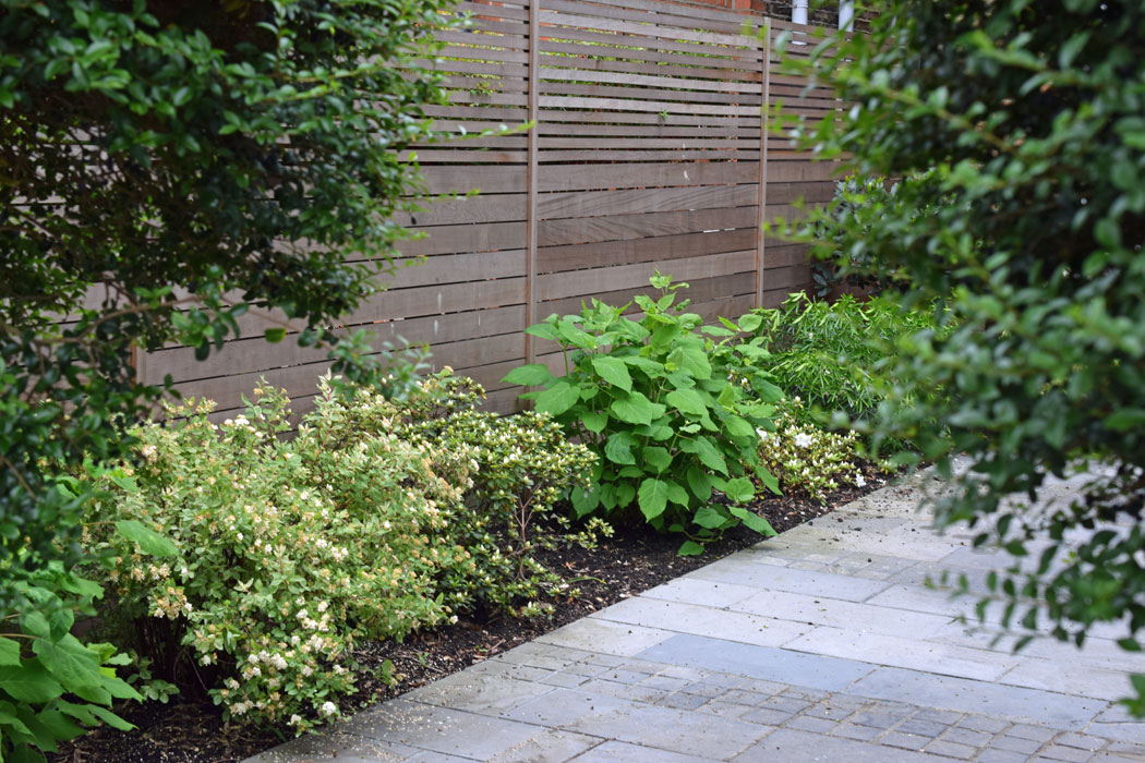 Bespoke cedar fence